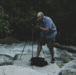 Chief of Development